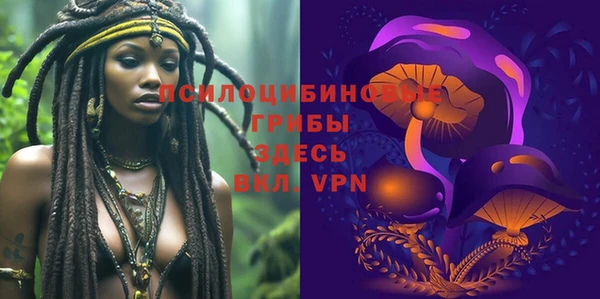трава Лабытнанги